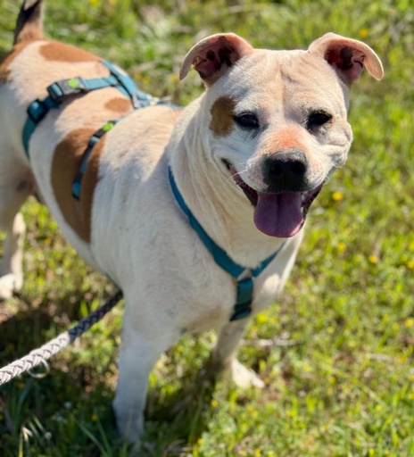 Kira | 620098102329176