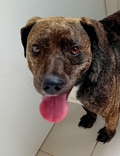 Hope | 620099100062100