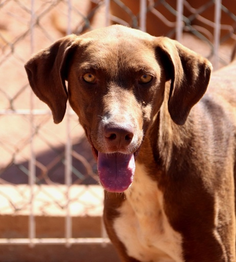 Magali | 620099100069754