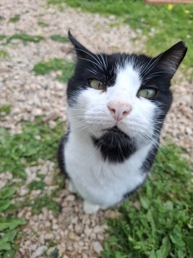 Cabeças | 620099100069171