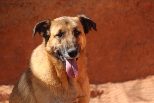 António | 620096310065470